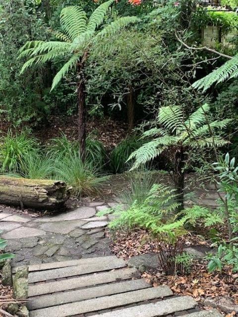 Private Guest Wing - Durie Vale Lodge Whanganui Dış mekan fotoğraf